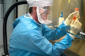 Inquietante: Reviven virus congelado hace 48.500 años para evaluar su amenaza en la salud humana