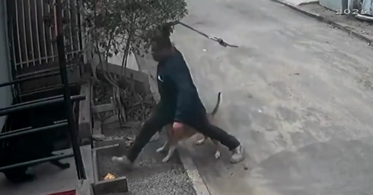 Captan a un sujeto golpeando con una cadena a un perro que dormía tranquilamente en Antofagasta