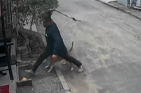 Captan a un sujeto golpeando con una cadena a un perro que dormía tranquilamente en Antofagasta