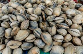 Cambio climático y contaminación amenazan al 90% de alimentos marinos: peces, mariscos y algas