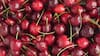 Temporada de cerezas: precios de la fruta roja caen por descalce entre cosecha y Año Nuevo chino