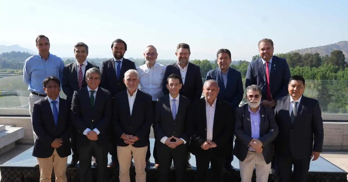 Agoreschi cuestiona oficio de Redes Asistenciales: ¿Por qué los Servicios de Salud piden financiamiento a los Gores?