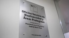 Certeza y legitimidad en la implementación del Servicio de Biodiversidad y Áreas Protegidas (SBAP)