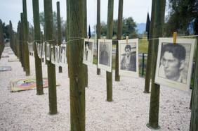 Millonaria licitación del Plan Nacional de Búsqueda ahora será auditada por Contraloría