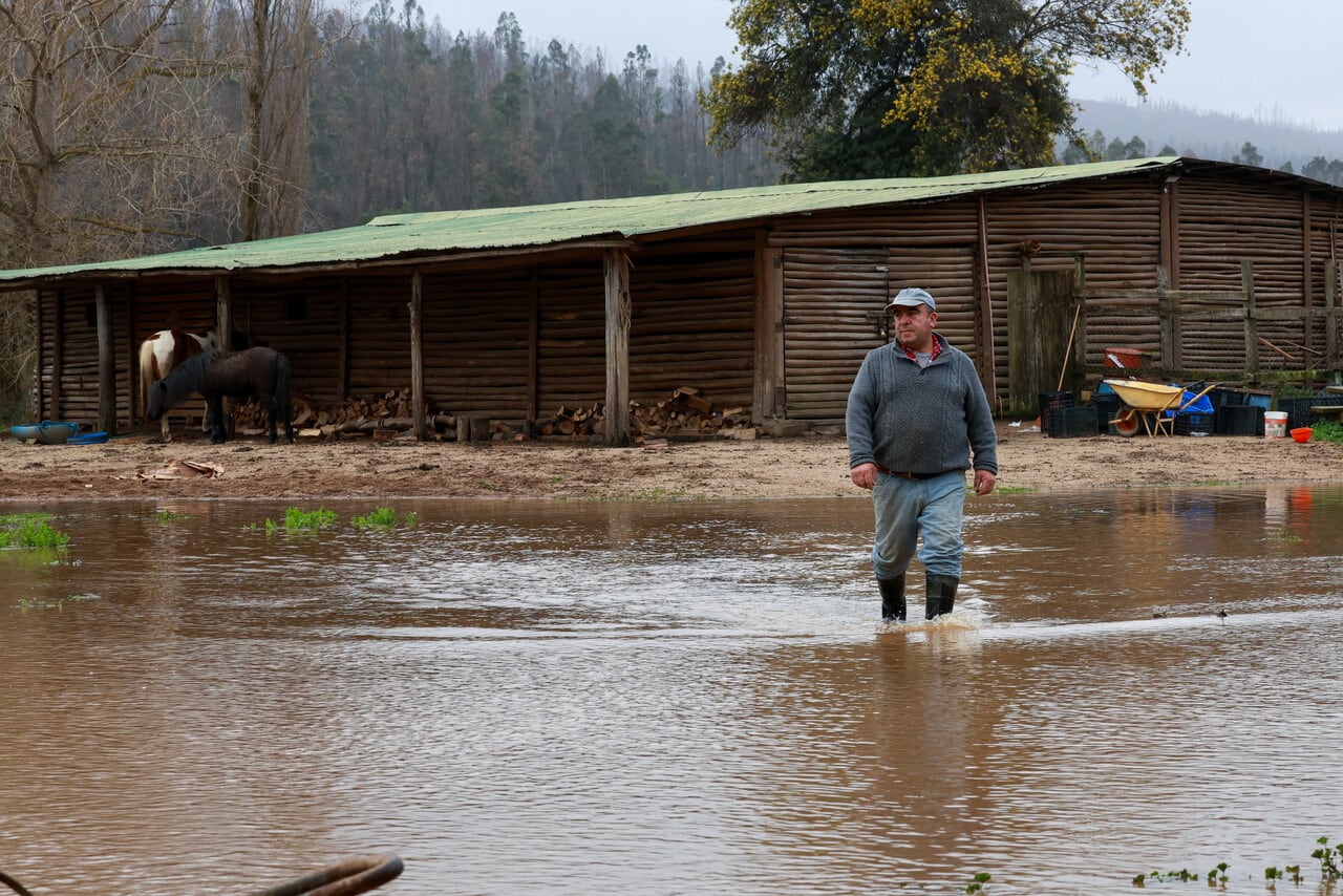 El río Andalién se desbordó a la altura del sector Chaimávida en la comuna de Concepción, provocando la inundación de amplios sectores y la evacuación de quienes ahí viven.