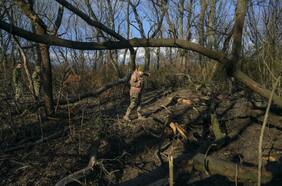 Rusia reconoce la independencia de las repúblicas autoproclamadas de Donetsk y Lugansk