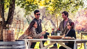 Día Nacional del Vino: más de 50 actividades para celebrar, aprender y compartir