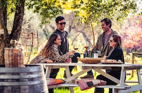 Día Nacional del Vino: más de 50 actividades para celebrar, aprender y compartir