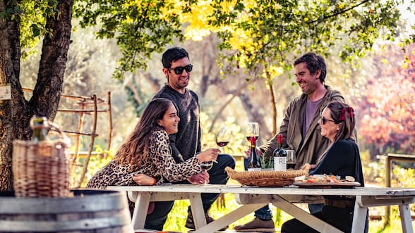 Día Nacional del Vino: más de 50 actividades para celebrar, aprender y compartir