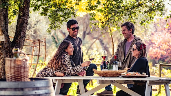 Día Nacional del Vino: más de 50 actividades para celebrar, aprender y compartir