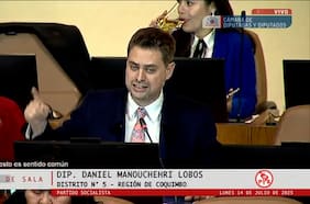 “Chilezuela, arepa y ron”: los polémicos dichos de Manouchehri (PS) en debate por proyecto que establece multa por no sufragar