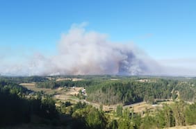 Incendio forestal en Purén obliga a solicitar evacuación en nueve sectores de la comuna