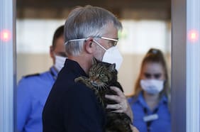 ¿Qué va a pasar con mi gato (y con el yoga) cuando se acabe la cuarentena? (3ª parte)