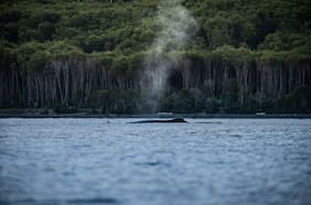 En la crisis hídrica, Magallanes no es la excepción