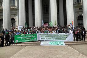 Regionalistas Verdes anuncian su respaldo a la opción “En contra” ante plebiscito constitucional