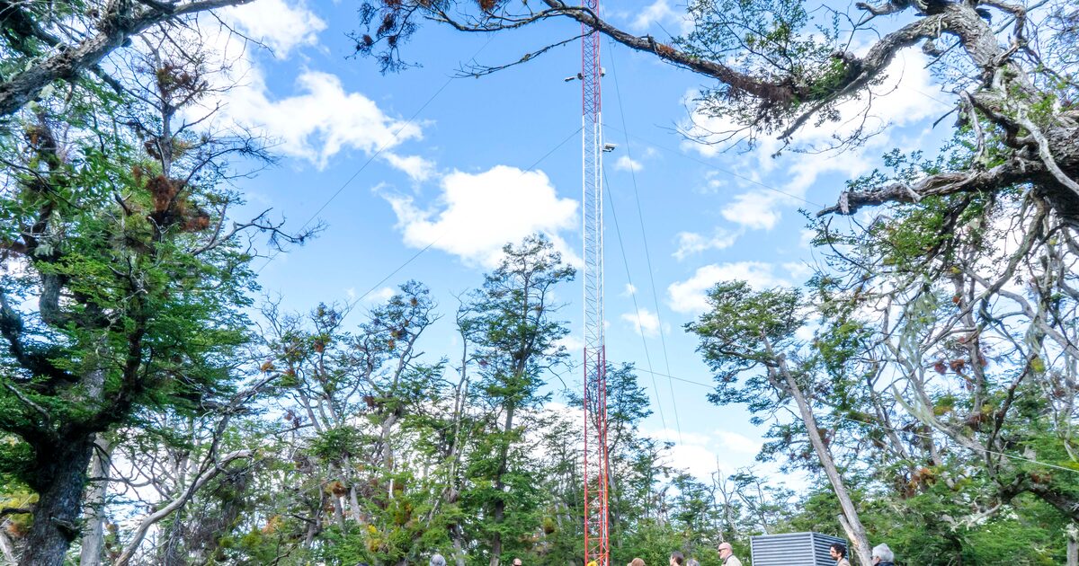 Torre pionera en Tierra del Fuego: El secreto para medir el cambio climático
