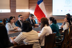 Contraloría entra al ruedo por situación de Prodemu: gobierno se reúne con Dorothy Pérez por déficit financiero de la fundación