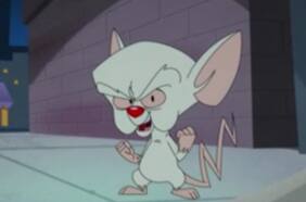 Hulu tuvo que eliminar temporalmente un episodio del reinicio de los Animaniacs