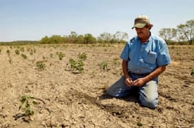 El impacto del calentamiento global en cultivos claves del mundo