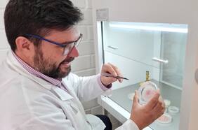 “Efecto neuroprotector”: Científicos chilenos viajarán a la Antártica en busca de hongos que controlarían el alzheimer