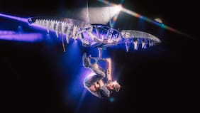 Mago Jean Paul Olhaberry llega a la región del Biobio con Infinito, su nuevo espectáculo de escapismo