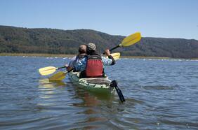 El inolvidable paseo en kayak por Valdivia junto a los cisnes de cuello negro