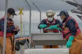 Ley para la Naturaleza: Gremios de camioneros alertan de eventual escalada de desempleo
