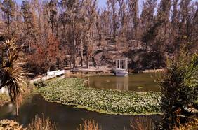 Ministerio de Agricultura compromete $500 millones para trabajos de restauración del Jardín Botánico de Viña del Mar