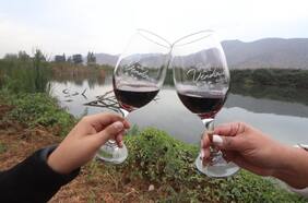 Con entrada a $ 1.000 vuelve la Fiesta de la Vendimia de Peñaflor