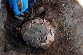 Hallan el fósil de una tortuga y su huevo en un nuevo descubrimiento en Pompeya