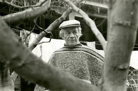 La poesía política de Nicanor Parra: viaje a la voz del pueblerino