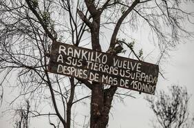 Convenio de Desarrollo Social y Bienes Nacionales en la mira: advierten que abriría la puerta a compra de terrenos tomados
