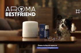 ¿El producto perfecto para quienes deben dejar a su perro solo en casa?