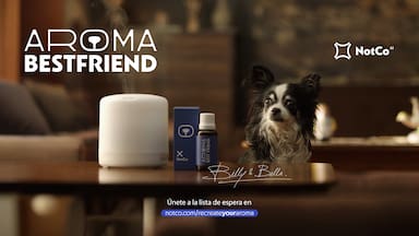 ¿El producto perfecto para quienes deben dejar a su perro solo en casa?