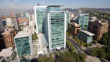 Ganancias de Empresas Copec caen a la mitad por menor desempeño del negocio forestal