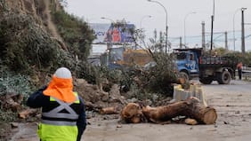 Gobierno detalla planes para habilitar avenida España en Valparaíso y Viña del Mar: se abrirá primero una pista para el transporte público
