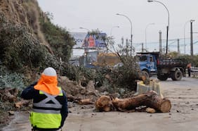 Gobierno detalla planes para habilitar avenida España en Valparaíso y Viña del Mar: se abrirá primero una pista para el transporte público