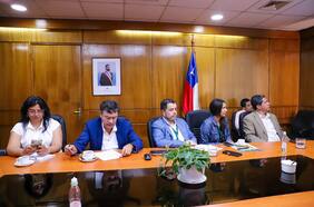 Ministro de Agricultura presenta nuevo seguro contra influenza aviar