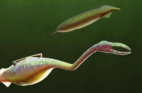 No se parece a ningún animal conocido: ¿Qué es el misterioso monstruo de Tully y por qué se está hablando de él?