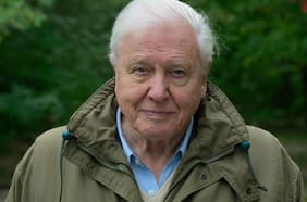 Una carta de amor para el planeta: las memorias de David Attenborough en Netflix