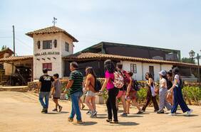 Sabores del Maule: el tren turístico que te lleva a pasar por viñas y probar vinos