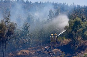 Fogata mal apagada habría causado incendio en Laguna Verde