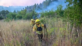 Declaran alerta roja en Victoria por incendio forestal en cementerio municipal