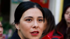 Las otras explicaciones de Cariola ante la Fiscalía por la seguidilla de solicitudes que hizo a favor de Emilio Yang