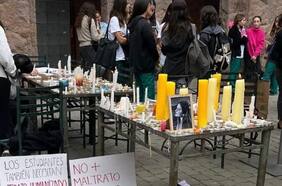 FEUC y madre de Catalina Cayazaya solicitan a la Superintendencia velar por salud mental de estudiantes