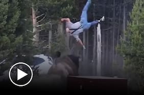 Impresionante ataque en Yellowstone: Bisonte enfurecido lanza por los aires a un turista