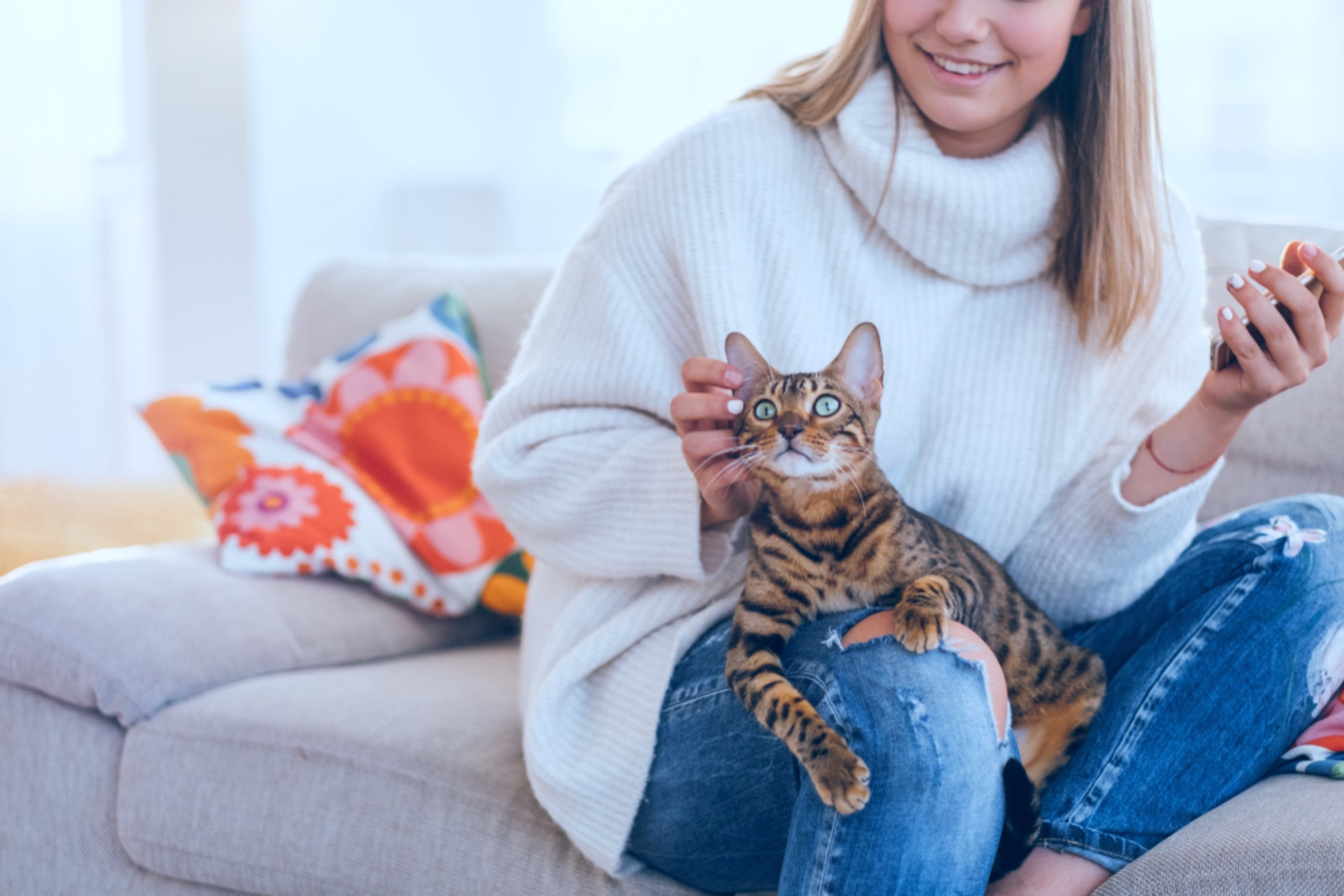 Cómo tener gatos puede potenciar la felicidad de las personas, según un estudio realizado en 93 países. Foto: referencial.