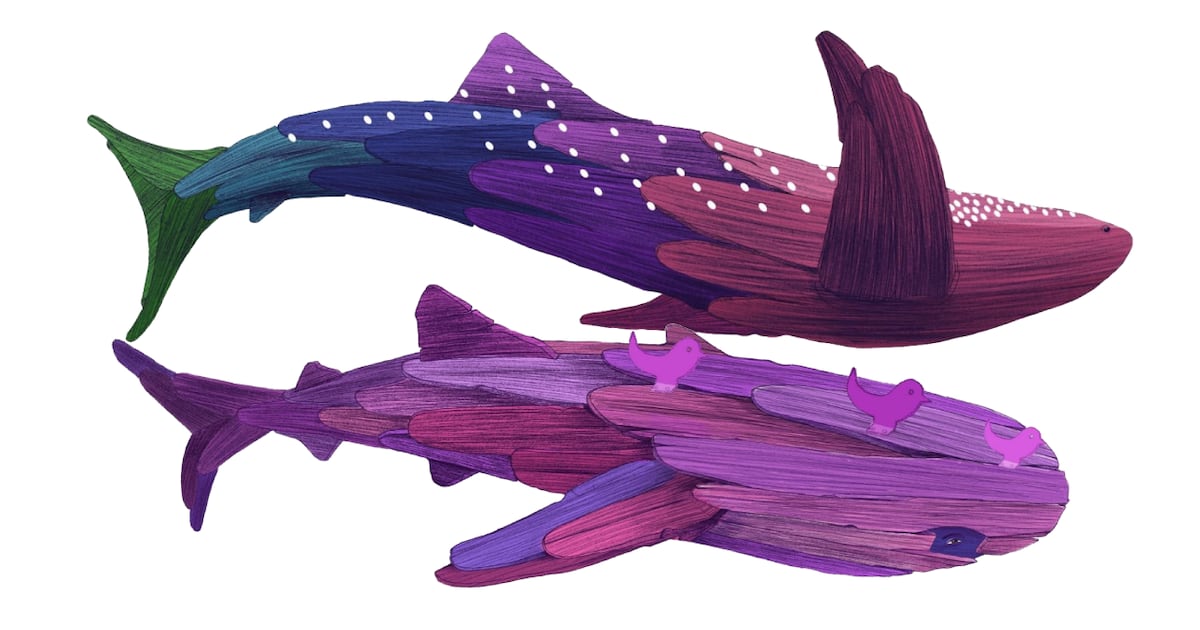 El chileno que ganó el