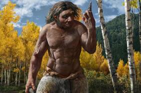 Ojos casi cuadrados; gruesas crestas de las cejas, una boca ancha y dientes de gran tamaño: el Hombre Dragón podría ser nuestro pariente más cercano