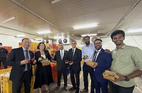 Canciller Pérez Mackenna cierra gira en India y empresa de agronegocios anuncia aumento de importaciones